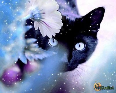 Наталья Калабина