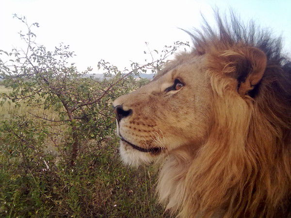 Юлия Муравина