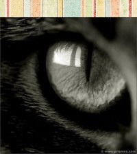 Ольга Митрюхина