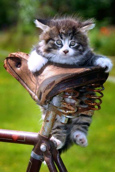 Ольга Ишимова