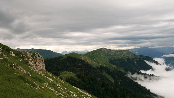 Разина Зарипова