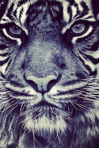 Ангелина Парфёнова