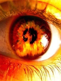 Головин Максим