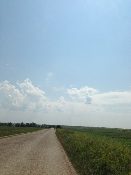 Дмитрий Гагарин