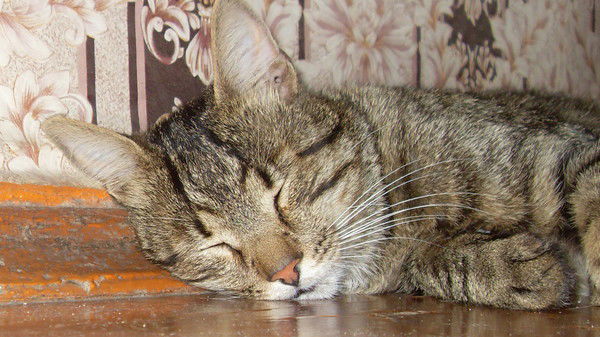 Сергей Булавко