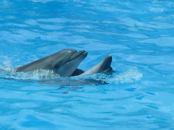 Пётр Пилипенко