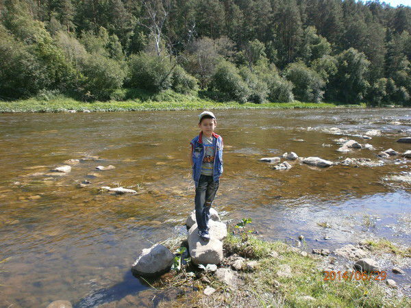 Макс Тенисон