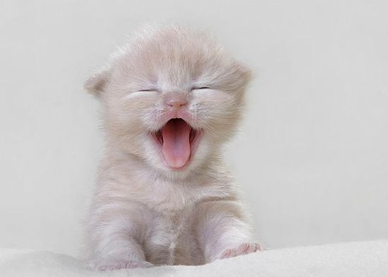 Вадим Базавлук