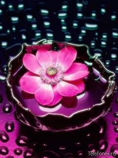 Надия Курсеева