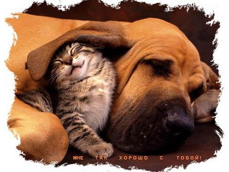 Коля Филипенко