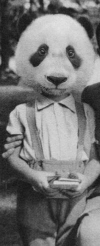 Маргарита Шапошникова