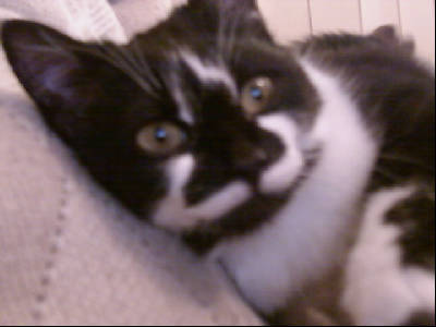 Василий Кипень