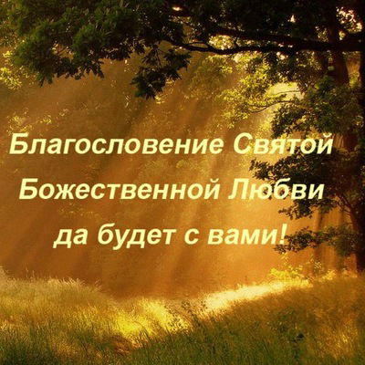 Ариф Мамедов