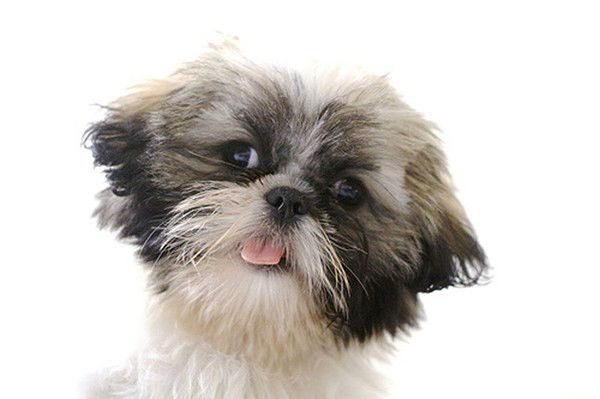 Люда Масова