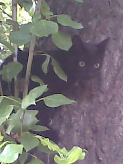 Олеся Камалова