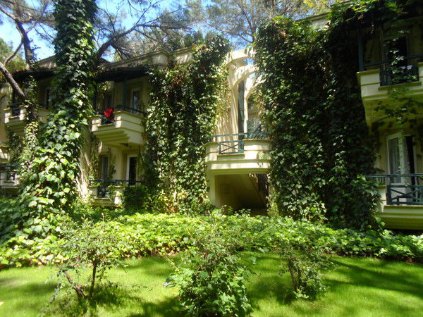 Надежда Нелюбова