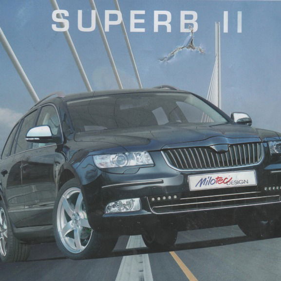 Роман Матюшенко