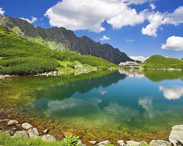 Олеся Фризина