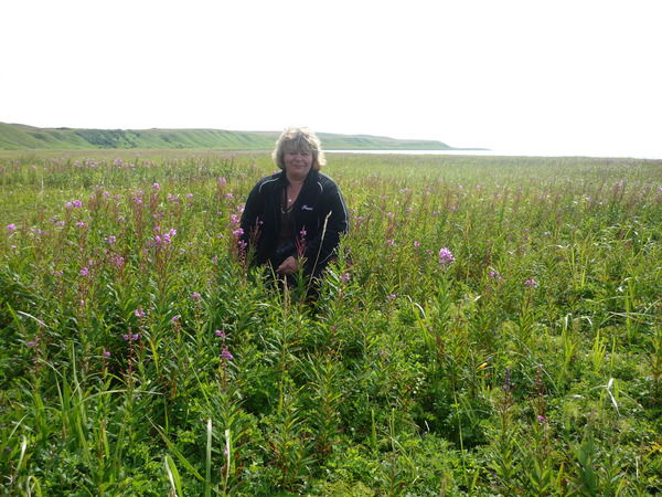 Ольга Анашева