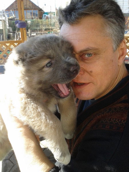 Владимир Рудык