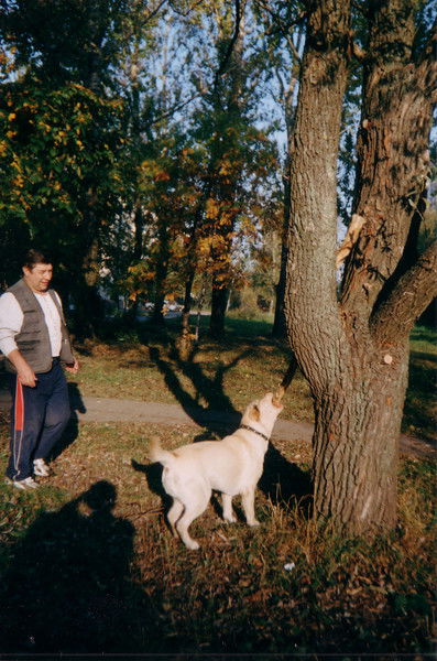 Лариса Булаева