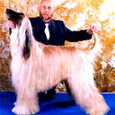 Sergey Akhapkin