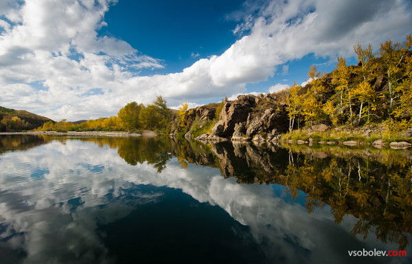 Елена Елена