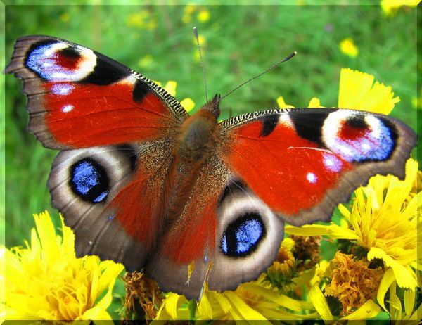 Vika Неизвестно