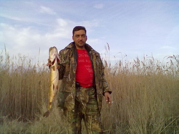 Александр Артюхов