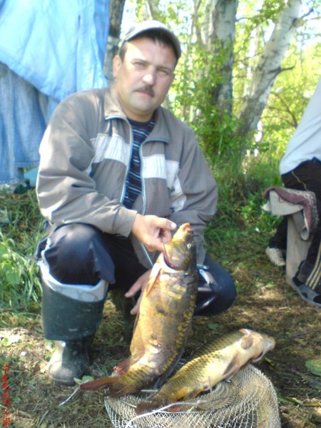 Александр Захаров