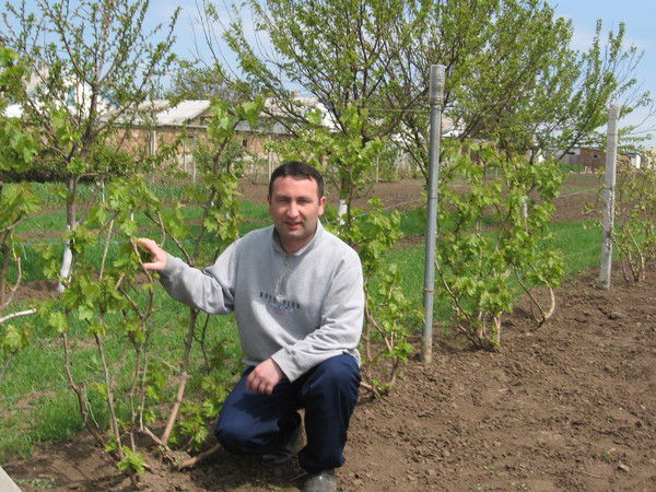 Энвер Шабанов