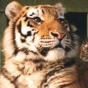 Валерий Егоров