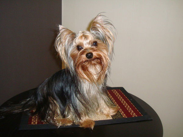 Надежда Бойко