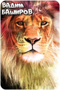 Вадим Баширов