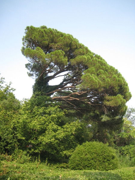 Болатбек Етенбаев