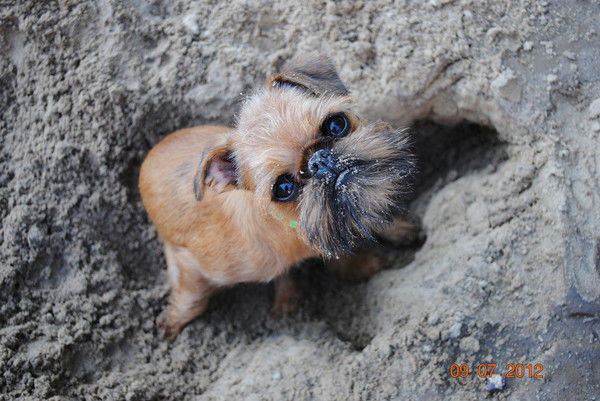 Неизвестно Неизвестно