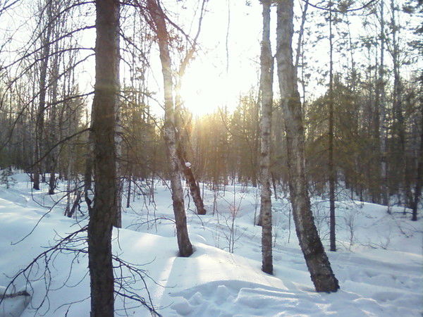 Анна Чернова