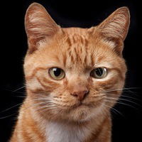 Сергей Безделов