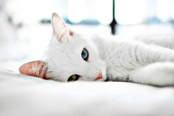 ˙˙·٠•●๑ღ♥ Ленок ♥ღ๑●•٠·˙