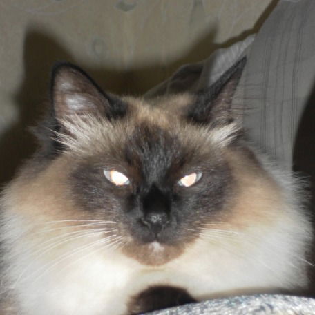 Ольга Куклева