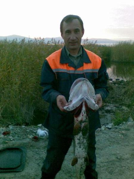 Игорь Рогальский