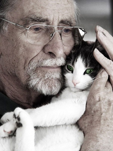 Вячеслав Евстегнеев