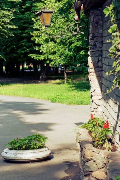 Алексей Краснощока