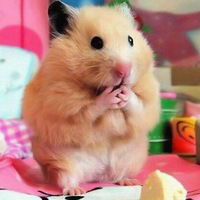 Нестор Белый