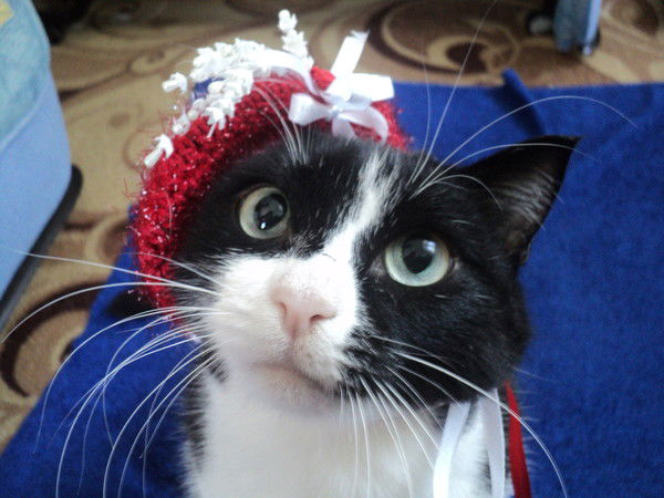 Надежда Канайкина