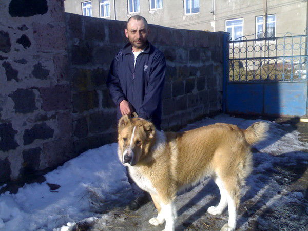 Ара Путулян