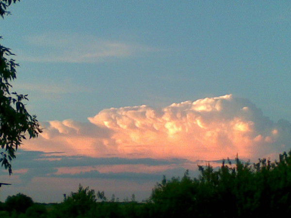 Ирина Толкачева