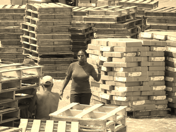 Алексей Прокопьев