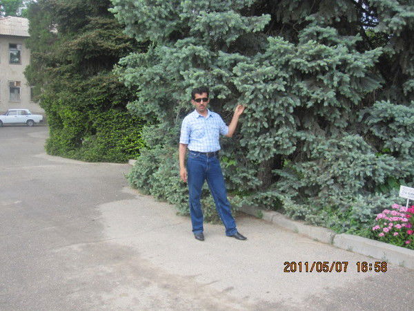 Таварали Сайфуддинов