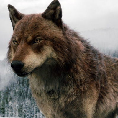 Рома Чернышев